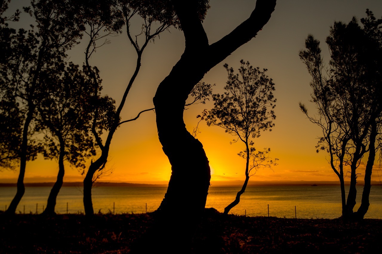Fine Art Photography Prints - Jayne Ion Professional Photographer